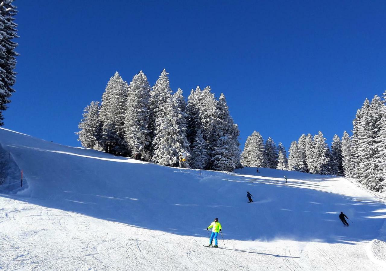 Laubrinus Apartment Adelboden Luaran gambar