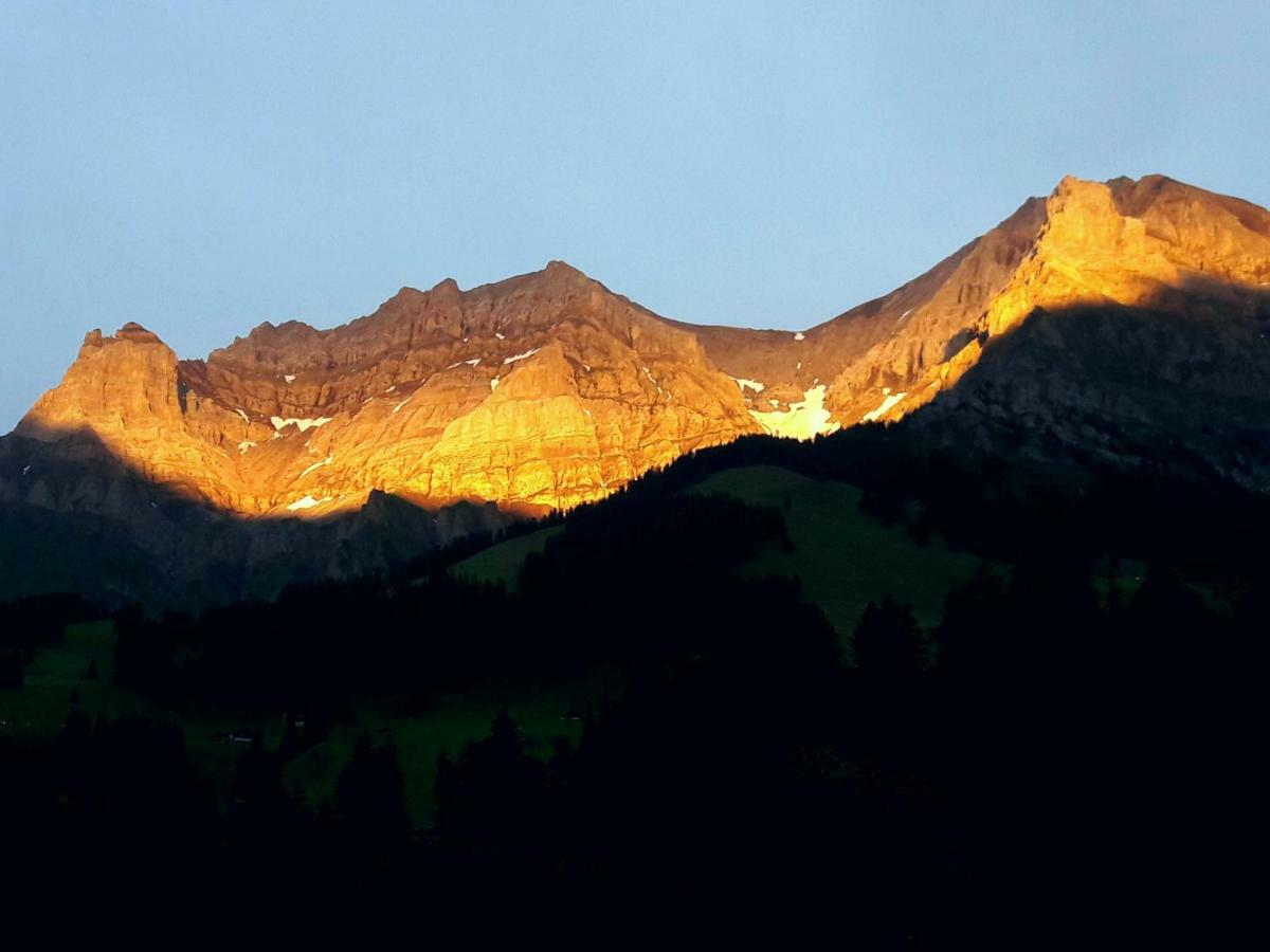 Laubrinus Apartment Adelboden Luaran gambar
